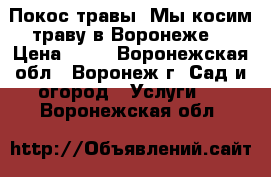 Покос травы. Мы косим траву в Воронеже. › Цена ­ 50 - Воронежская обл., Воронеж г. Сад и огород » Услуги   . Воронежская обл.